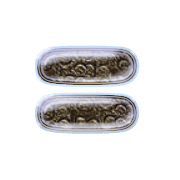 239