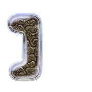 241