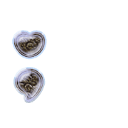243