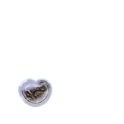 246