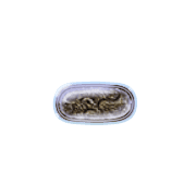 251