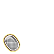256