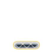 250