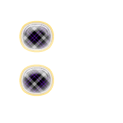 244