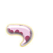 052