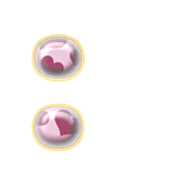244
