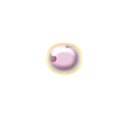 253