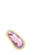 256