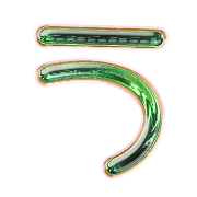 003