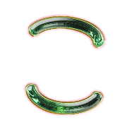 010