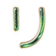 120