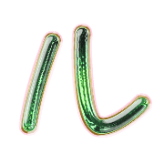 121