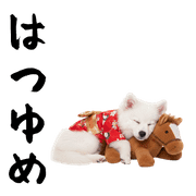 005