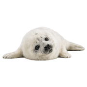 019