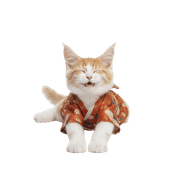 020