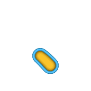 256