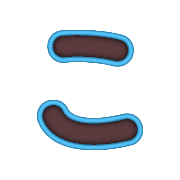 010