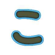 010