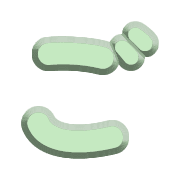 060