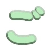 060