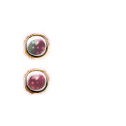 244