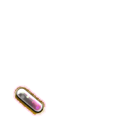 256
