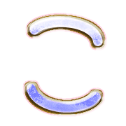 010
