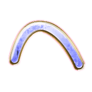 029