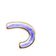 052