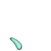 256