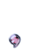245