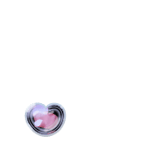 246
