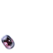 256