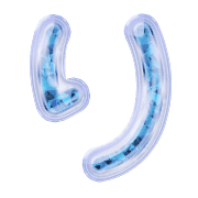 040