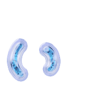 048