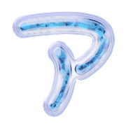 081