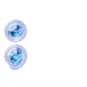 243