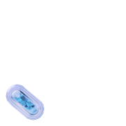 256