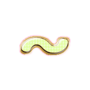 224