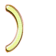 235