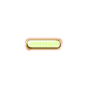 251