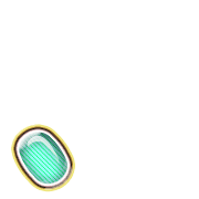 256