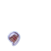 245