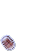 256