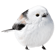 025
