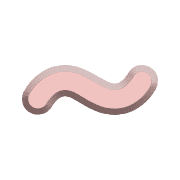224