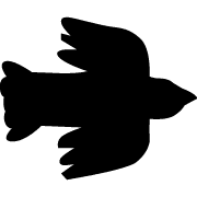 036