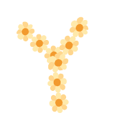 025