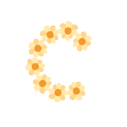 029