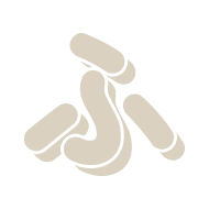 028